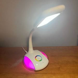 Ottlite Desk Lamp
